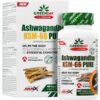 Ashwagandha KSM-66 Pure