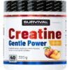 Creatine Monohydrate Gentle Power – 480 g, marakuja
