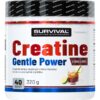 Creatine Monohydrate Gentle Power – 320 g, broskev