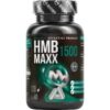 HMB Maxx 1500