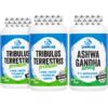 Tribulus Premium a Ashwagandha Strong – akce 1+1+1